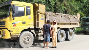 Sử dụng giấy phép lưu hành quá khổ giả không qua được mắt Cảnh sát giao thông