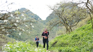 Chiêm ngưỡng đường chạy Vietnam Trail Marathon 2019 đẹp như mơ tại Mộc Châu