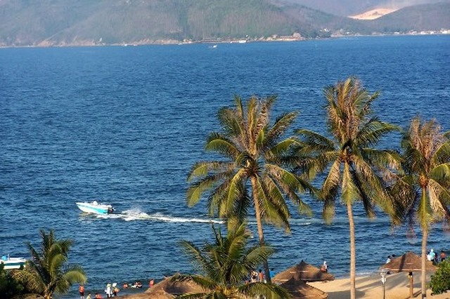 Hệ sinh thái vịnh Nha Trang đang bị đe dọa