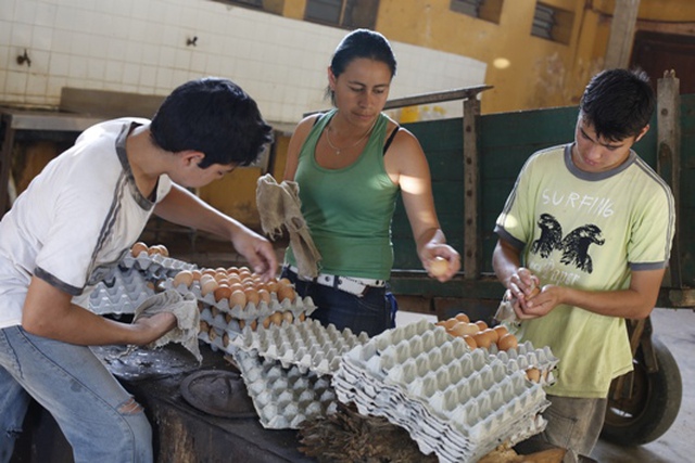 Tập đoàn Nestlé công bố kết quả giải thưởng: "Tạo ra giá trị chung" 2012