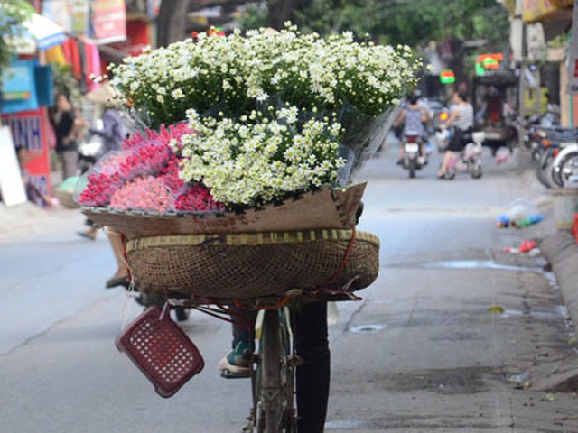 Hà Nội: Dịu dàng mùa cúc họa mi xuống phố