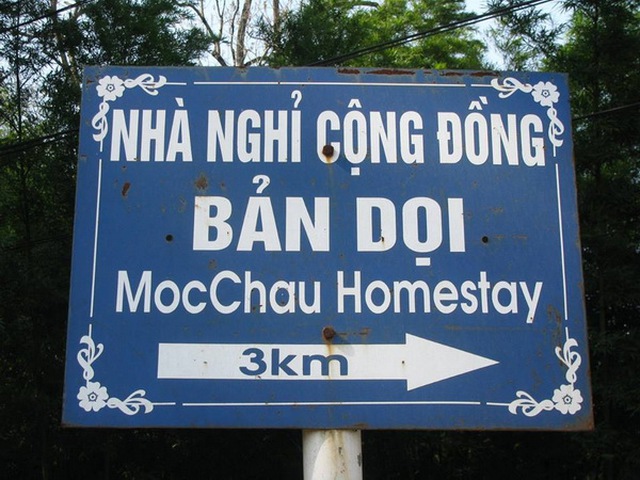 Đi Mộc Châu cứ ở những homestay như thế này là hay nhất