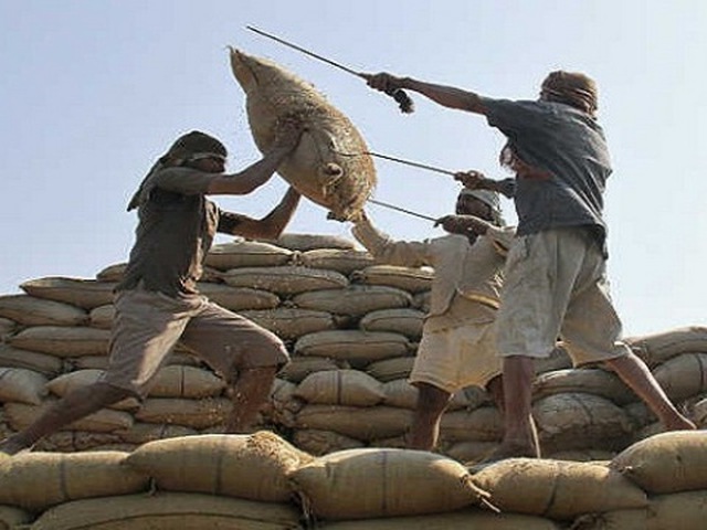 Ấn Độ vượt Thái Lan, xuất khẩu gạo nhiều nhất thế giới; Việt Nam vẫn thứ 3