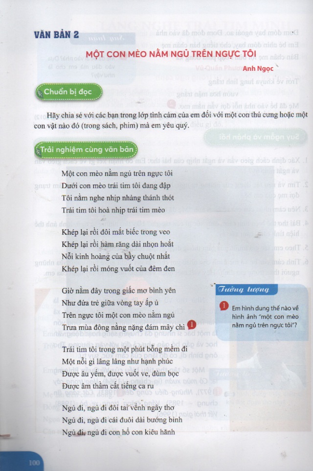 Gặp lại tác giả được đưa vào sách giáo khoa: Anh Ngọc 'yêu thật - đau thật - viết thật' - Ảnh 3.