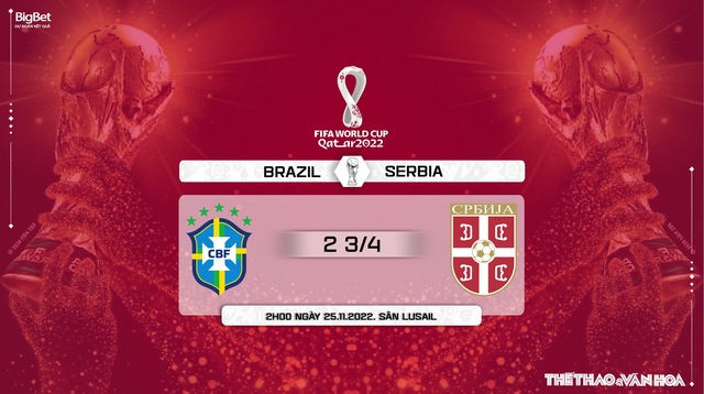 Nhận định bóng đá, nhận định Brazil vs Serbia, World Cup 2022 (2h00, 25/11) - Ảnh 11.