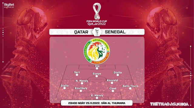 Nhận định bóng đá, nhận định Qatar vs Senegal, World Cup 2022 (20h00, 25/11) - Ảnh 8.