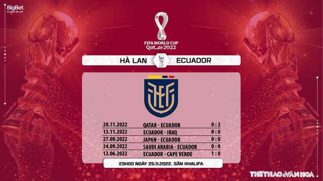 Nhận định bóng đá, nhận định Hà Lan vs Ecuador (23h00 ngày 25/11), Bảng A World Cup - Ảnh 9.