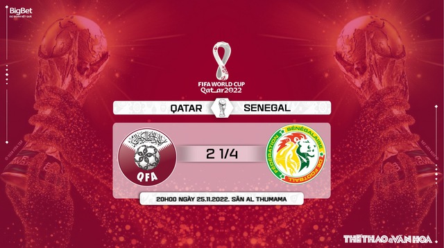 Nhận định bóng đá, nhận định Qatar vs Senegal, World Cup 2022 (20h00, 25/11) - Ảnh 6.