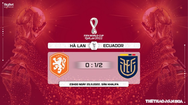 Nhận định bóng đá, nhận định Hà Lan vs Ecuador (23h00 ngày 25/11), Bảng A World Cup - Ảnh 10.
