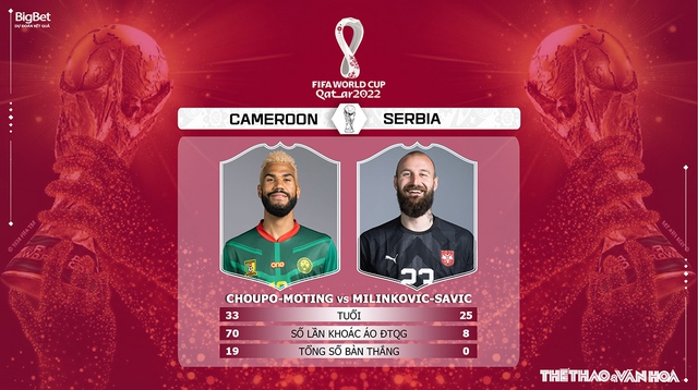 Nhận định bóng đá Cameroon vs Serbia, World Cup 2022 (17h00, 28/11) - Ảnh 6.