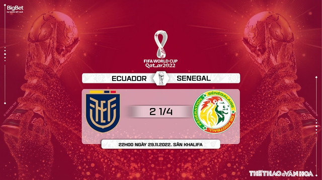 Nhận định kèo Ecuador vs Senegal (22h00, 29/11), World Cup 2022  - Ảnh 11.