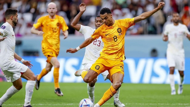 Kết quả bóng đá Hà Lan 2-0 Qatar: Gakpo tiếp tục lên tiếng