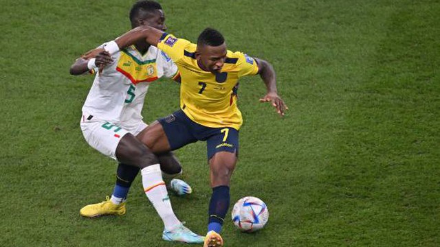 Trực tiếp bóng đá Ecuador vs Senegal, World Cup 2022 (22h00, 29/11) - Link xem VTV5 HD