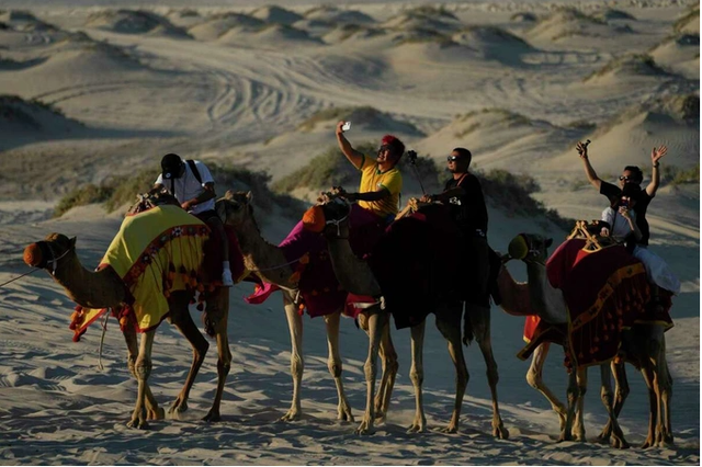 Du lịch Qatar bội thu mùa World Cup: Đến lạc đà cũng &quot;còng lưng&quot; làm thêm giờ vì khách quá đông  - Ảnh 2.