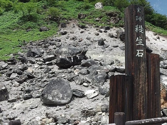 Thêm 8 con lợn rừng bỏ mạng tại hòn đá phong ấn cáo chín đuôi ở Nhật Bản, nhưng các nhà khoa học nói không bất ngờ - Ảnh 2.