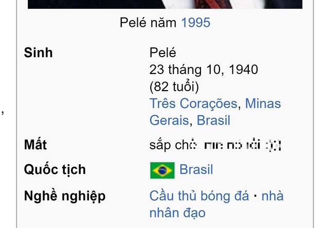Pele bị sửa tiểu sử trên Wikipedia, thay bằng từ ngữ phản cảm - Ảnh 1.