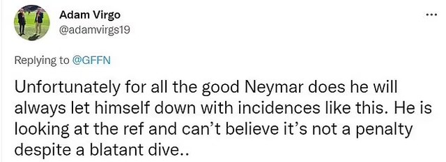 Người hâm mộ chỉ trích vì Neymar 'ăn vạ' quá lộ liễu - Ảnh 5.