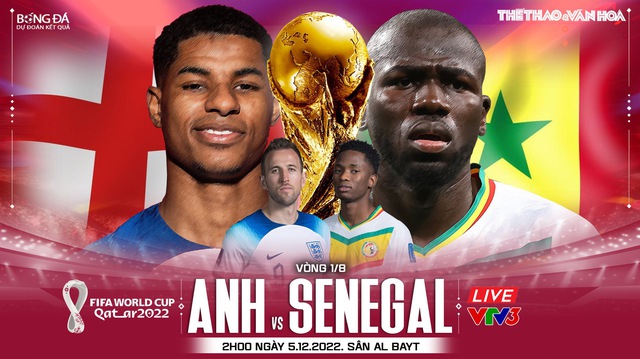 Nhận định bóng đá Anh vs Senegal (2h00 ngày 5/12), WC 2022 vòng 1/8