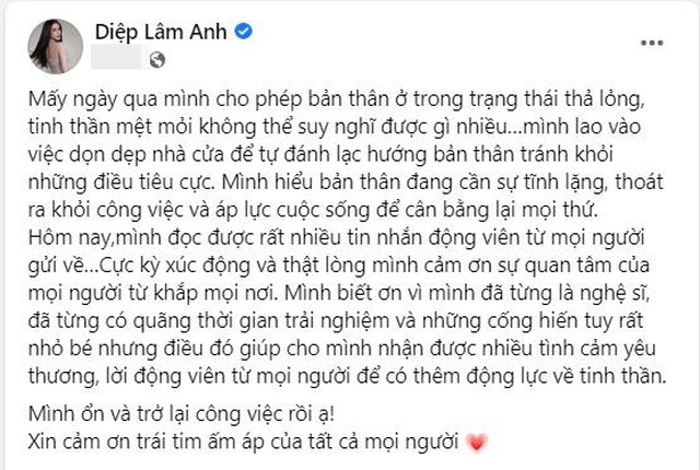 Diệp Lâm Anh trải lòng sau khi tòa xử không được nuôi con - Ảnh 3.