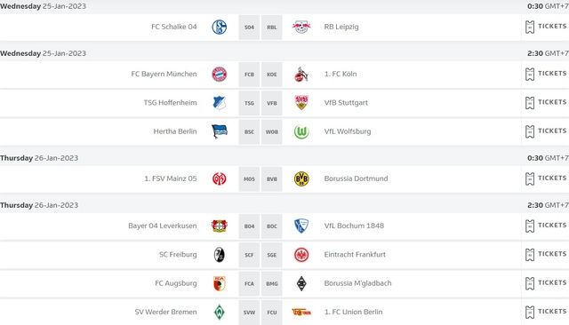 Nhận định, dự đoán bóng đá Bundesliga 26/1: Mainz vs Dortmund - Ảnh 2.
