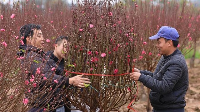 Chốt phương án nghỉ Tết Âm lịch 7 ngày, nghỉ lễ Quốc khánh 4 ngày