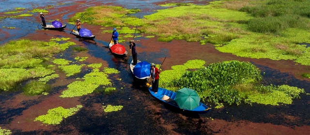 Từng bước phát triển du lịch U Minh Thượng tại Kiên Giang - Ảnh 2.