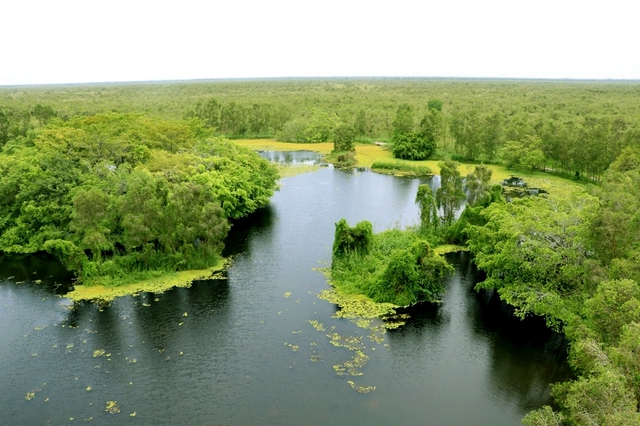 Từng bước phát triển du lịch U Minh Thượng tại Kiên Giang - Ảnh 1.