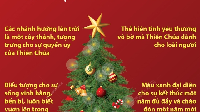 Cây thông Noel - biểu tượng cho lễ Giáng sinh