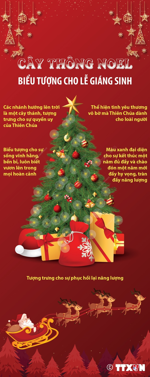 Cây thông Noel - biểu tượng cho lễ Giáng sinh - Ảnh 1.