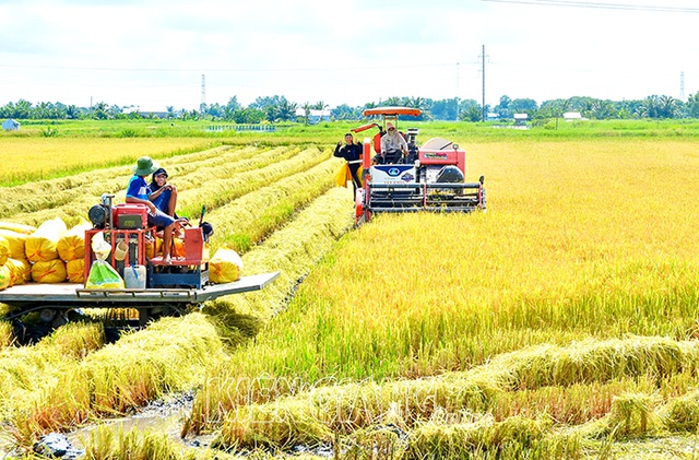 Vĩnh Thuận - Kiên Giang chuẩn bị kỷ niệm 60 năm thành lập - Ảnh 2.