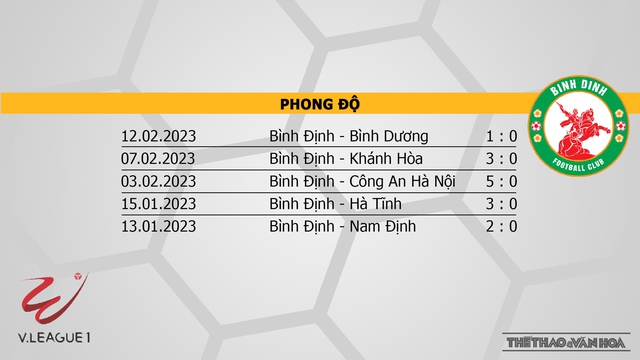 Link xem trực tiếp bóng đá Đà Nẵng vs Bình Định, V-League vòng 4 - Ảnh 5.