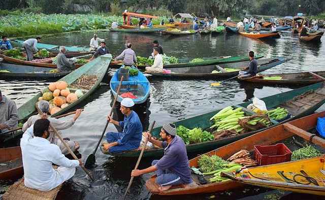 Người phụ nữ Việt kể &quot;chuyện lạ&quot; khi đi chợ với mẹ chồng ở Ấn Độ, lượn khắp chỉ để mua 2 thứ quan trọng này - Ảnh 5.