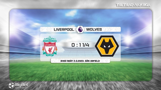 Nhận định, nhận định bóng đá Liverpool vs Wolves (03h00, 2/3), đá bù vòng 7 Ngoại hạng Anh - Ảnh 8.
