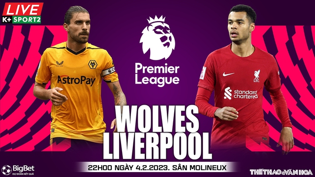 Nhận định, nhận định bóng đá Wolves vs Liverpool (19h00, 4/2), vòng 22 Ngoại hạng Anh - Ảnh 2.