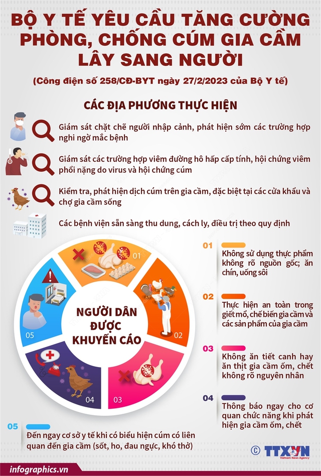 Bộ Y tế yêu cầu tăng cường phòng, chống cúm gia cầm lây sang người - Ảnh 1.