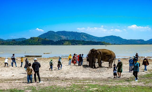 'Gương mặt đại ngàn' - Mùa Lễ hội Tây Nguyên 2023 - Ảnh 19.