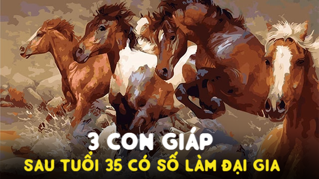 Sau tuổi 35, có 3 con giáp chỉ đợi một bước chuyển nổi bật, có số làm đại gia: Nếu không lưu ý dễ vuột ngay thời cơ vàng