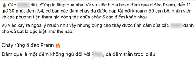 Du khách buồn bã, xót xa trước cảnh đồi thông cửa ngõ đèo Prenn bùng cháy dữ dội - Ảnh 6.