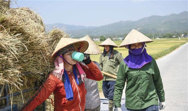 Thời tiết ngày 4/6: Trung Bộ nắng nóng, có nơi nắng nóng gay gắt - Ảnh 1.