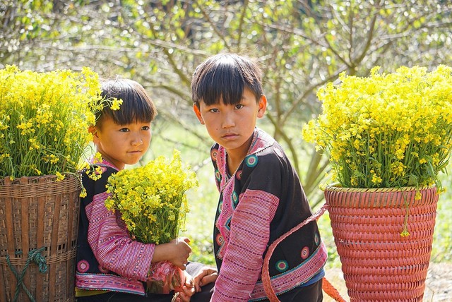 Du lịch Việt Nam: Vẻ đẹp bình yên và thơ mộng của cao nguyên Mộc Châu - Ảnh 3.