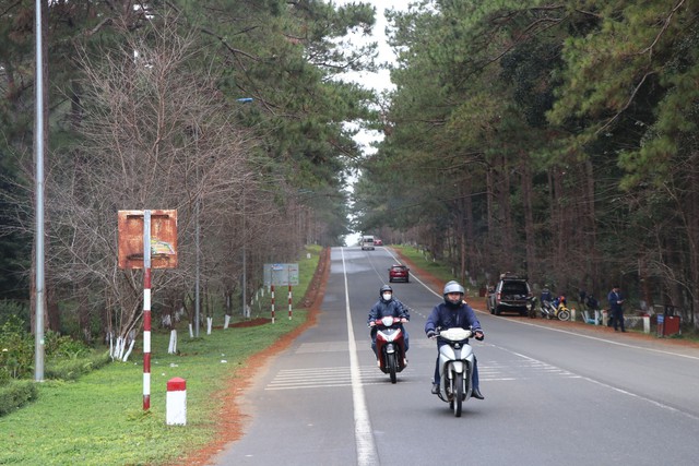 Phát triển Măng Đen thành thị trấn hoa Anh đào, bốn mùa hoa nở - Ảnh 4.