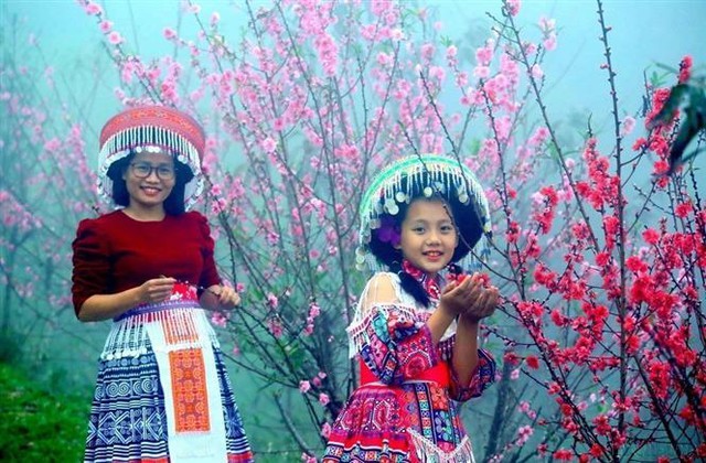 Hoa đào trong Ngày Tết cổ truyền của người Việt Nam - Ảnh 4.