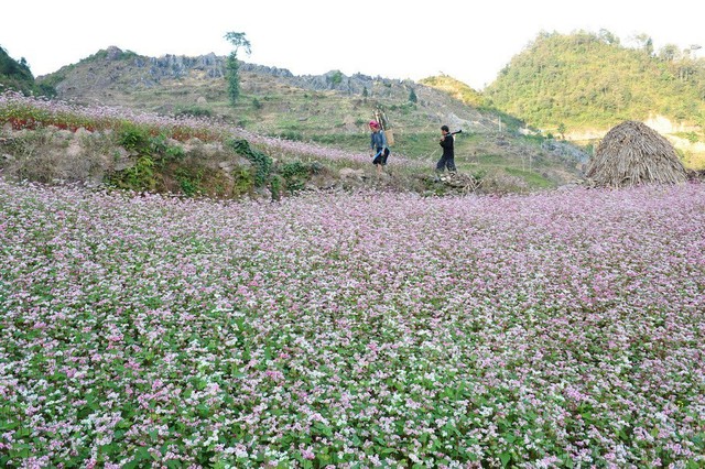 Việt Nam có nhiều tiềm năng, lợi thế phát triển công nghiệp văn hoá - Ảnh 2.