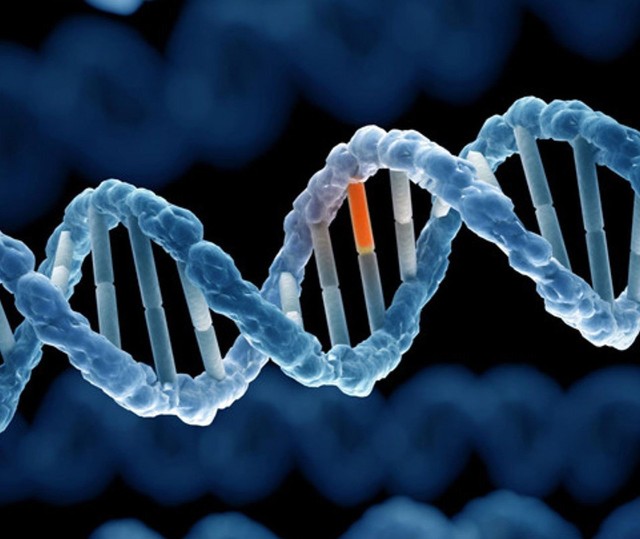 Nghiên cứu tại Mỹ phát hiện 275 triệu biến thể gene hoàn toàn mới liên quan nguy cơ mắc bệnh - Ảnh 1.