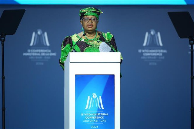 Vẫn còn nhiều bất đồng tại Hội nghị Bộ trưởng WTO - Ảnh 1.