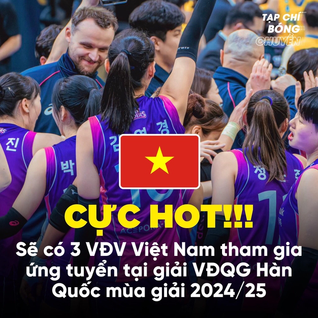 Bích Tuyền và Thanh Thúy được gọi tên sau khi có tin 3 VĐV Việt Nam ứng tuyển ở Hàn Quốc, hé lộ thể thức và mức lương hấp dẫn - Ảnh 2.