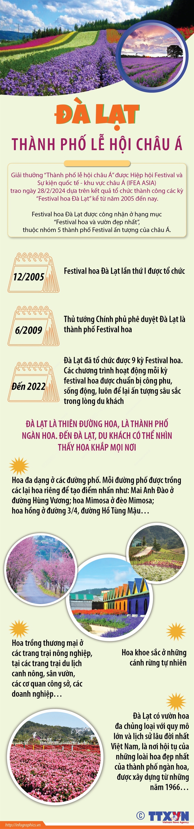 Đà Lạt - Thành phố lễ hội châu Á - Ảnh 1.