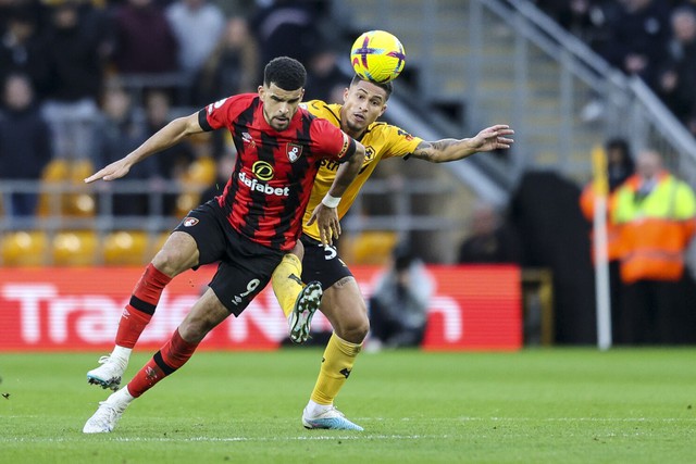 Nhận định bóng đá Wolves vs Bournemouth (01h45, 25/4), đá bù vòng 29 Ngoại hạng Anh - Ảnh 2.