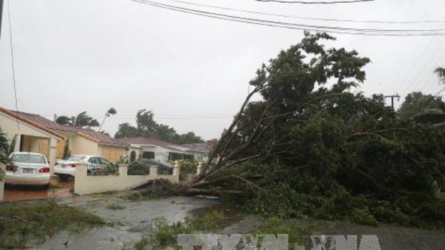 Siêu bão Irma quét qua Florida, 6 triệu người phải sơ tán