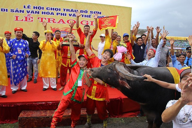 Trực tiếp chọi trâu đồ sơn, Chọi trâu Đồ Sơn, Xem chọi trâu Đồ Sơn, Chọi trâu, Chọi trâu 2018, Xem chọi trâu, lễ hội chọi trâu đồ sơn 2018, xem trực tiếp chọi trâu đồ sơn